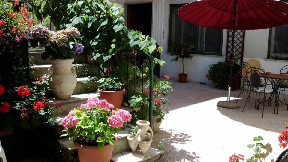 Magenta Casella (Liguria)